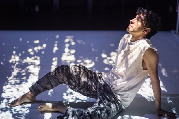 Photo by Dahlia Katz